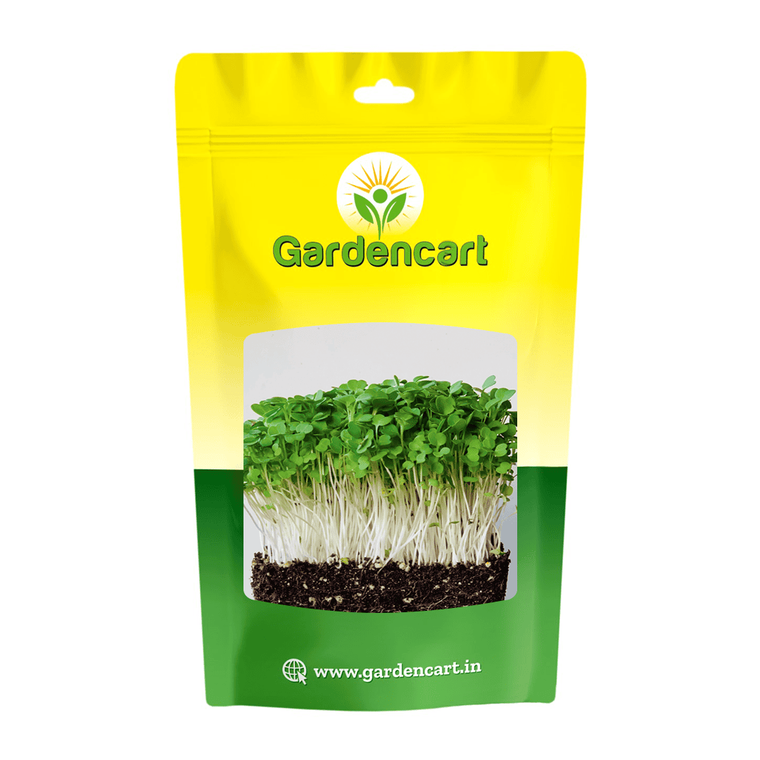 Rocket Cultivated Microgreens