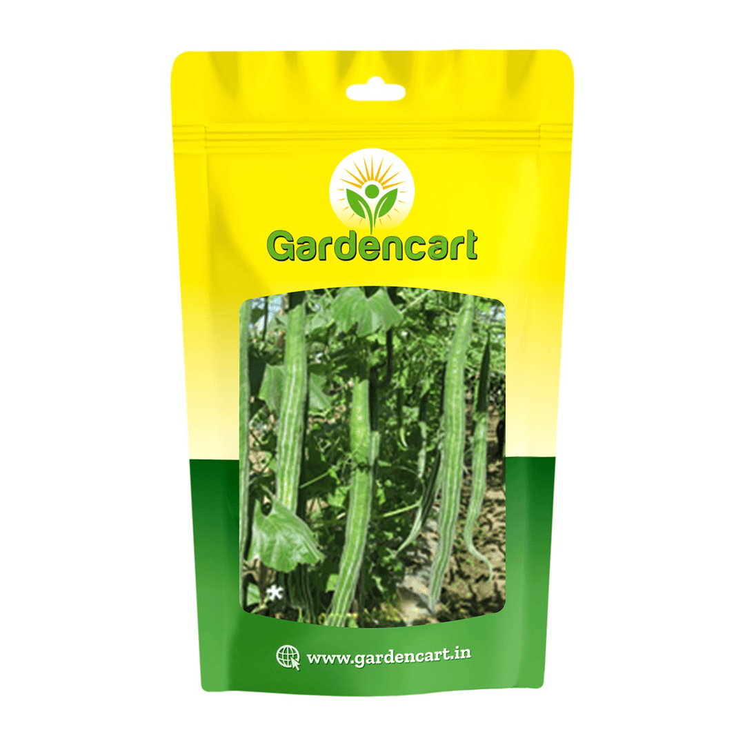 Hybrid Snakegourd Kalia Seeds