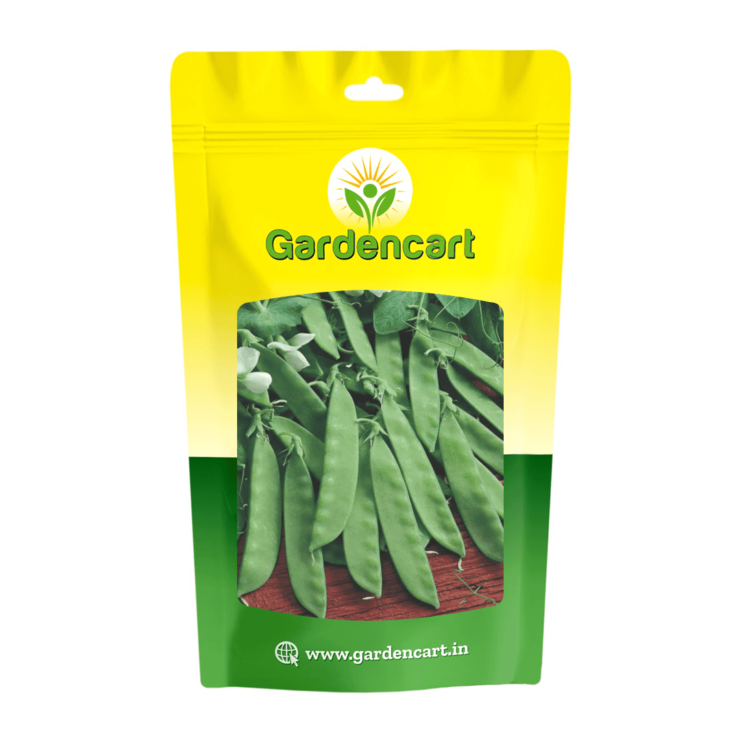 Snow Peas Seeds