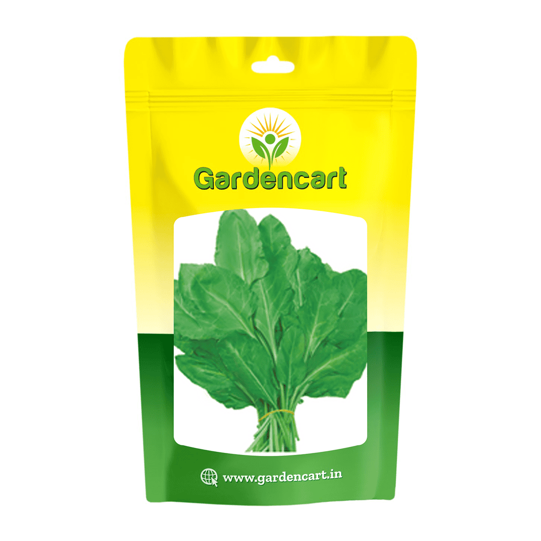 Spinach All Green Seeds