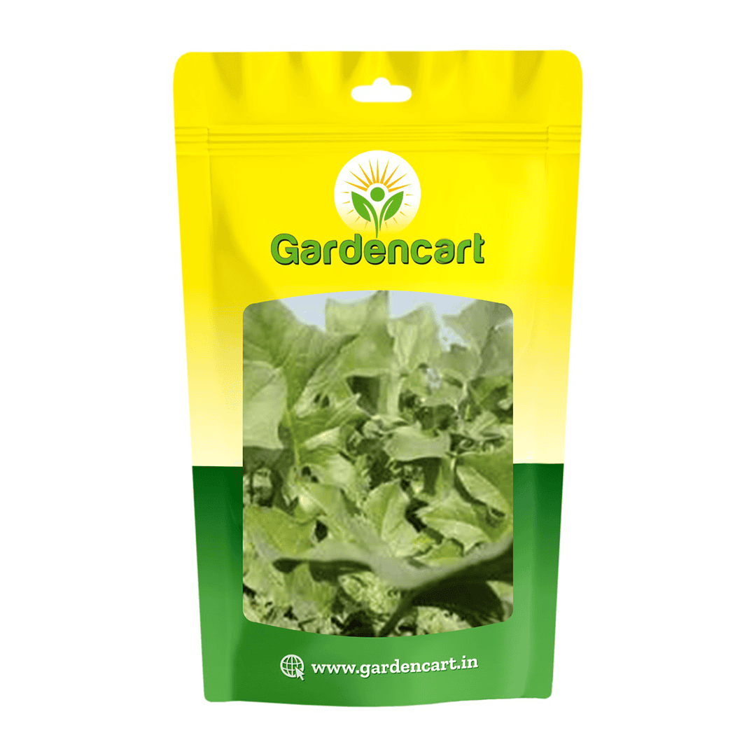 Spinach Kantedar Seeds