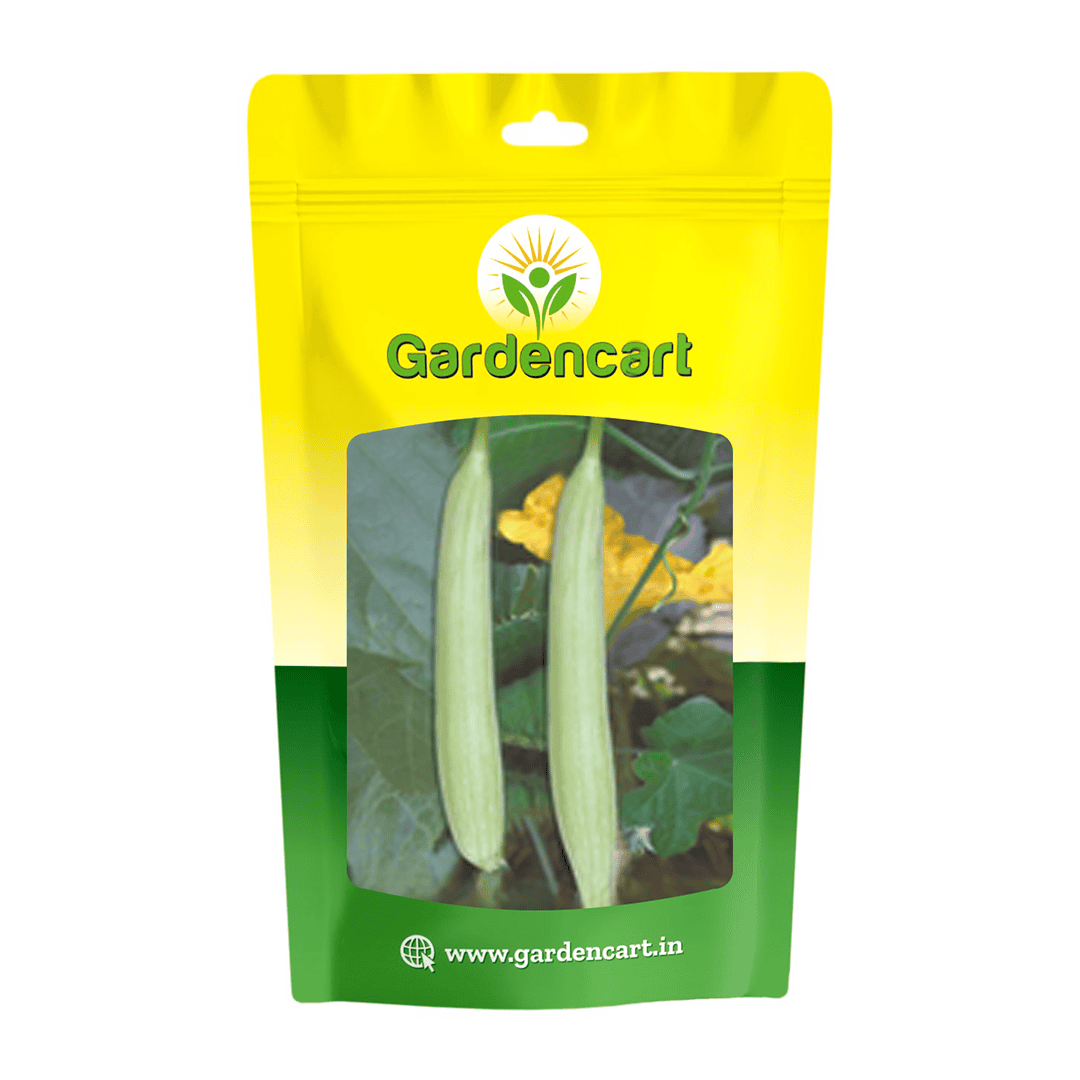 Hybrid Spongegourd Nidhi Seeds