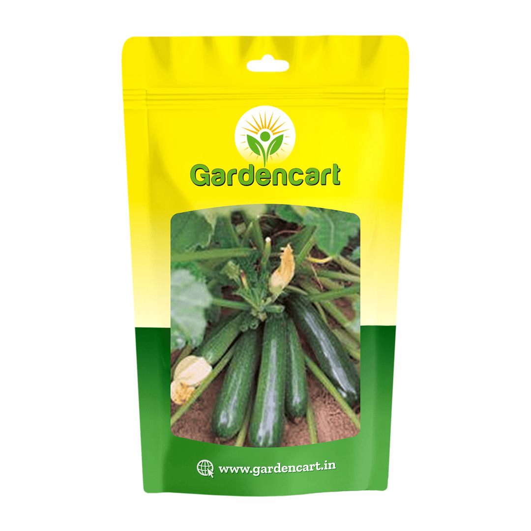 Squash Black Beauty Seeds