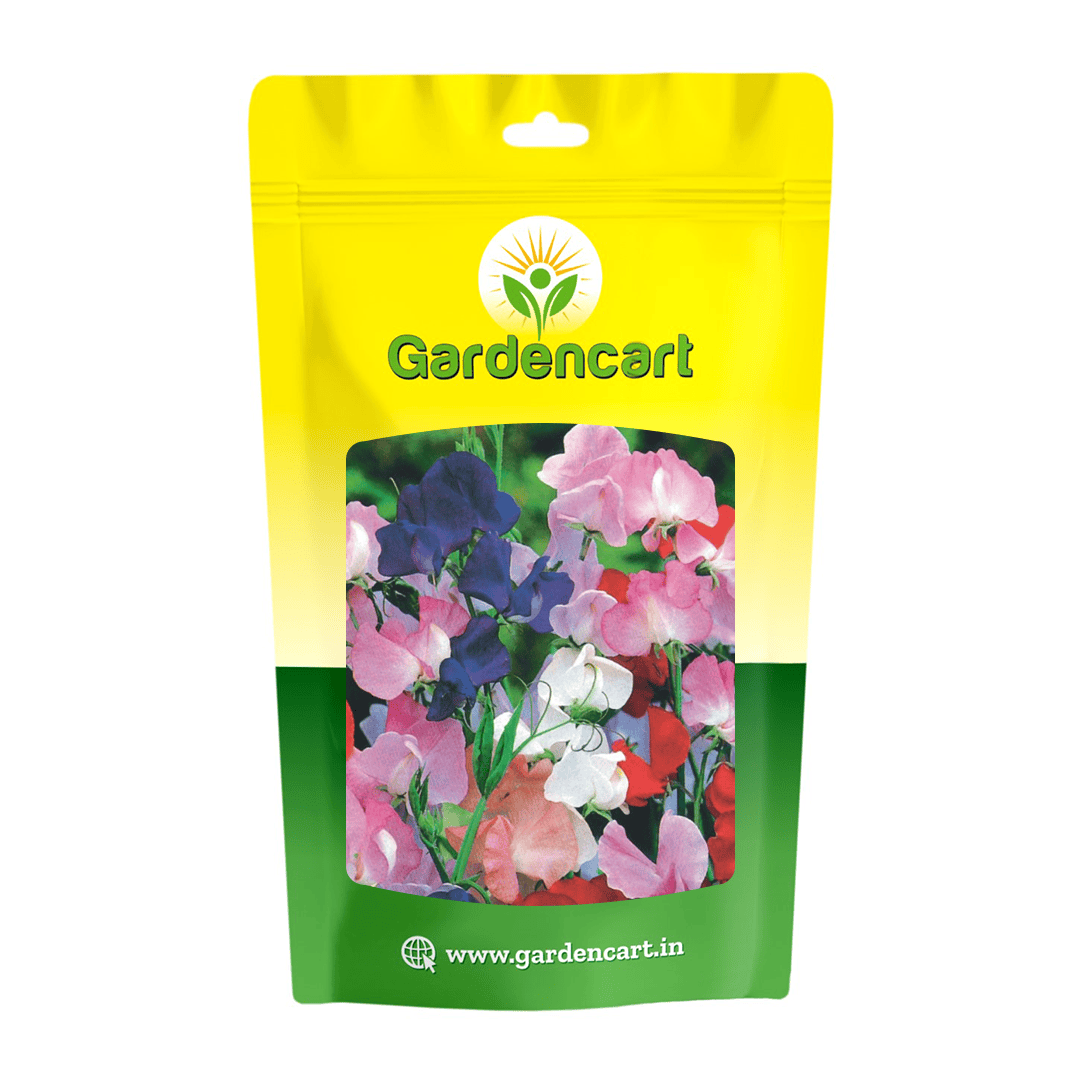 Sweet Peas Elegant Mix Seeds