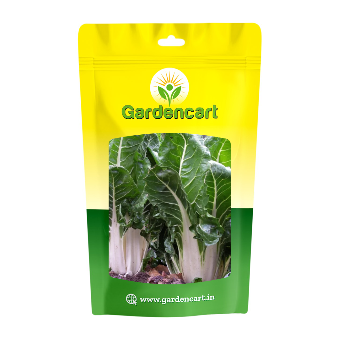 Swiss Chard Large White Ribbed Seeds