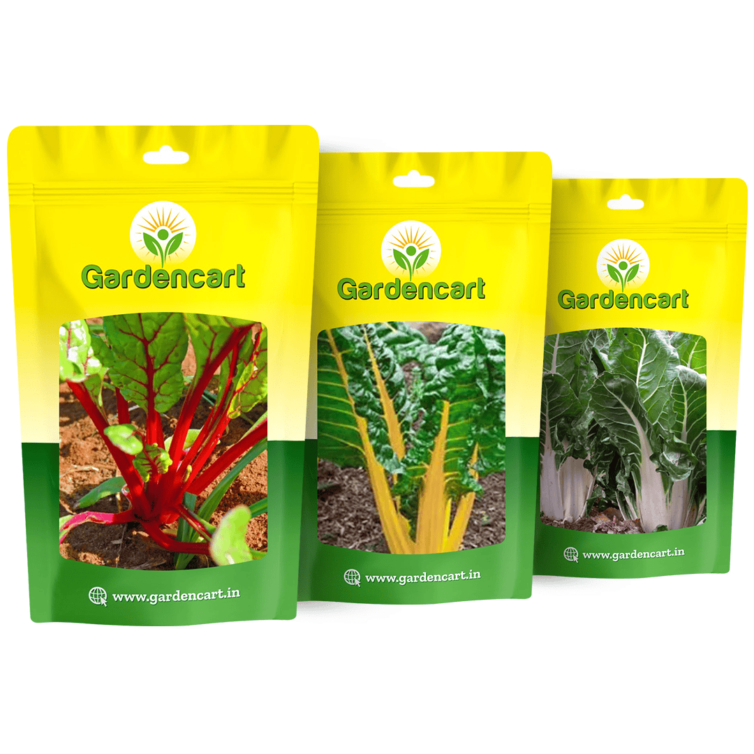 Swiss Chard Rainbow Mix Seeds - Pack of 3