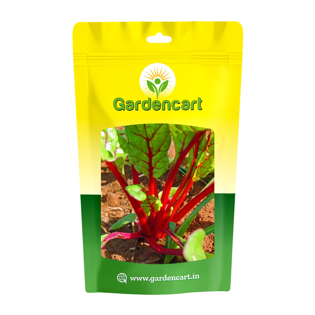 Swiss Chard Red Ruby Seeds