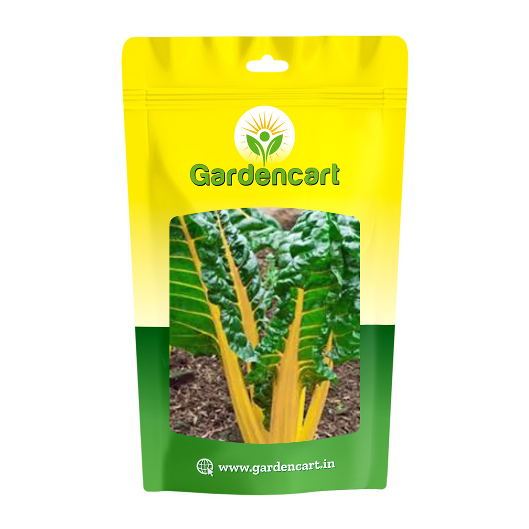 Swiss Chard Yellow Seeds