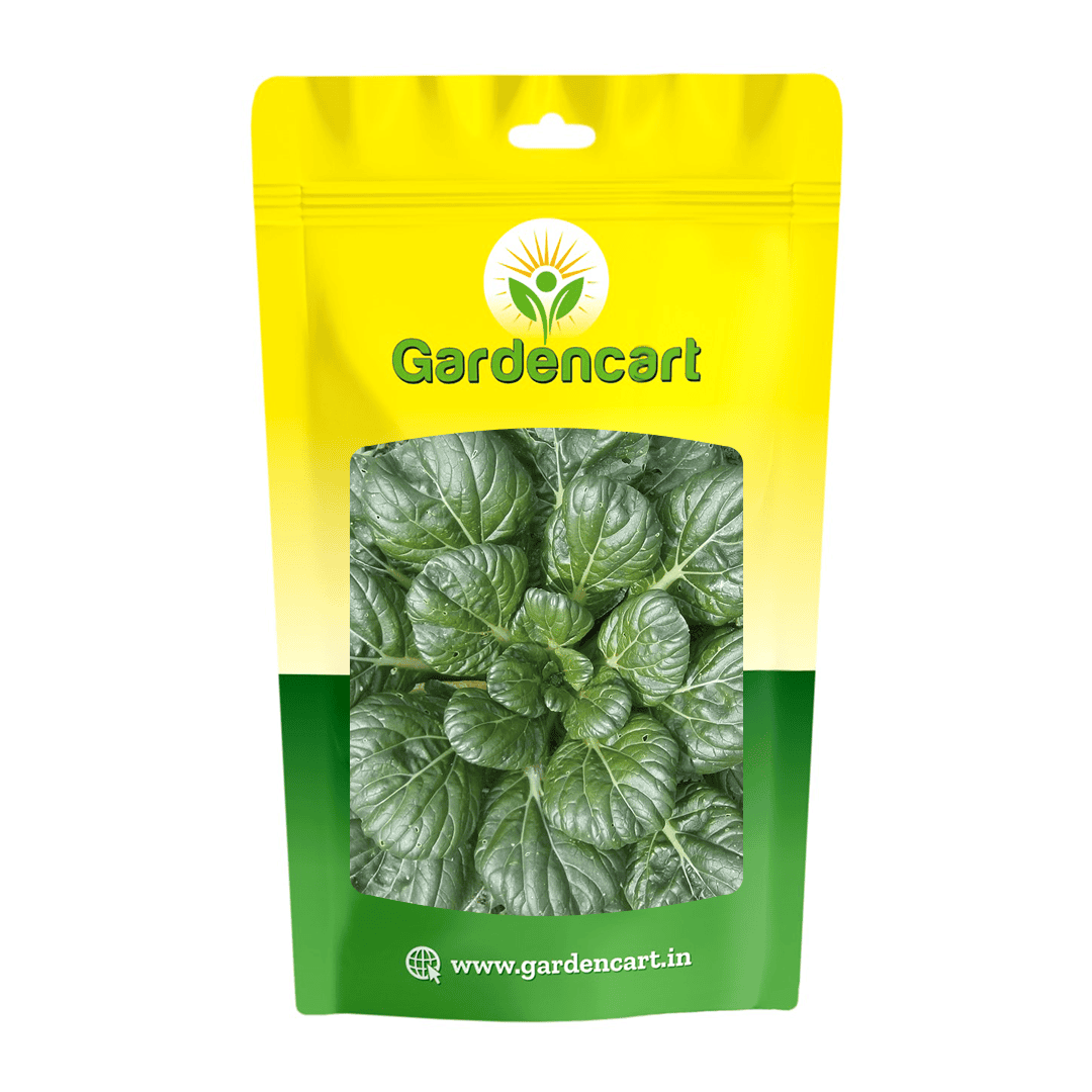 Tatsoi Green Seeds
