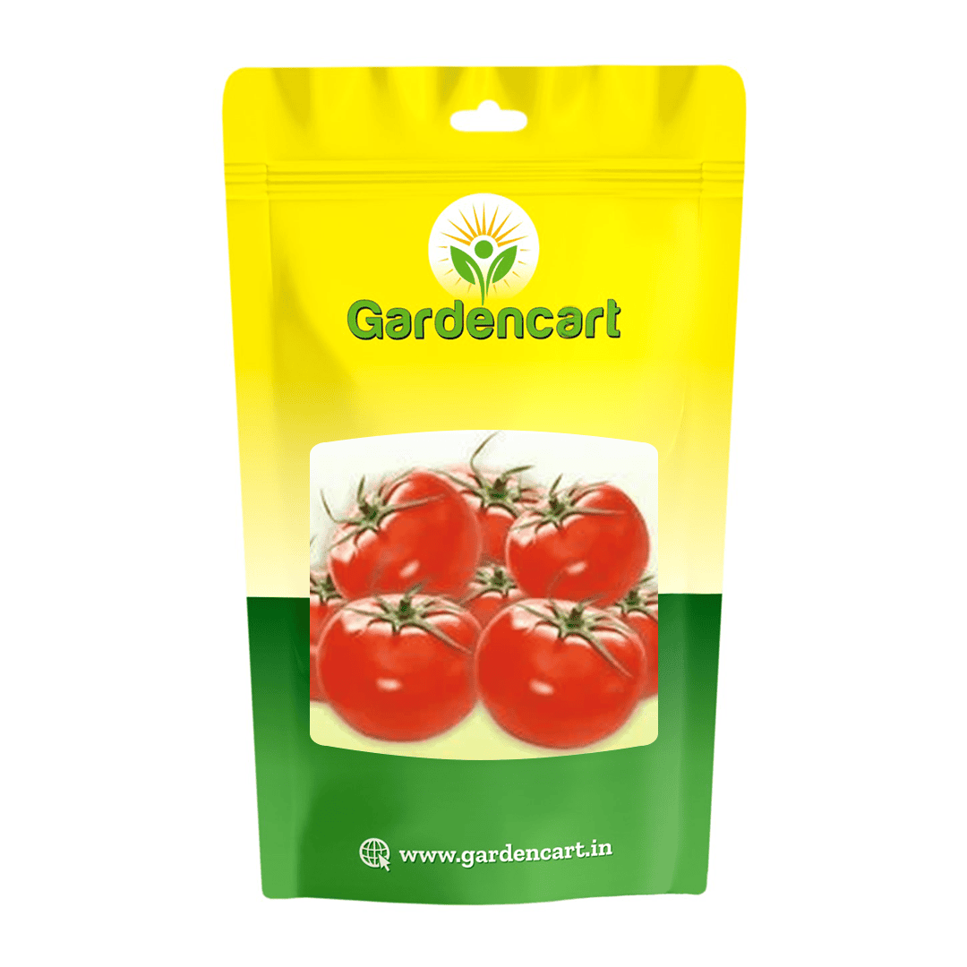 Tomato Desi Pusa Ruby Seeds