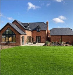 Turf Grass Perennial Ryegrass Greener-55 Seeds