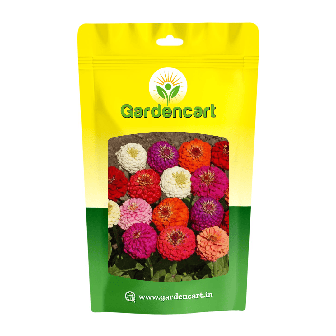 Zinnia Giant Mix Seeds