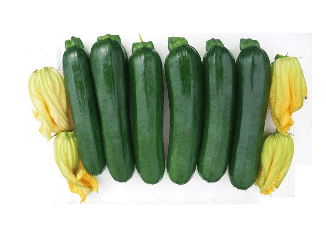 Hybrid Zucchini GS-743 Seeds
