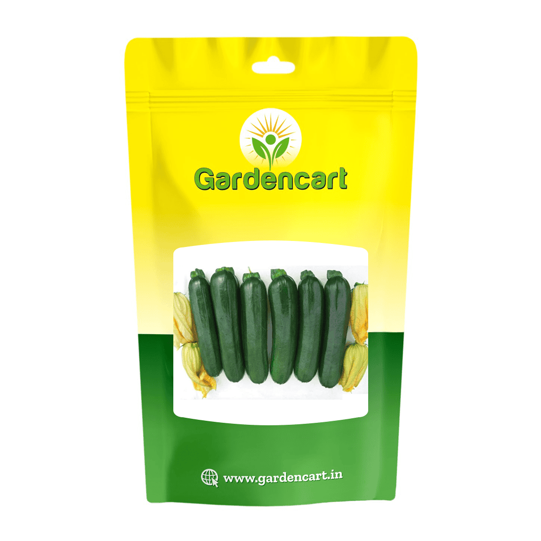 Hybrid Zucchini GS-743 Seeds
