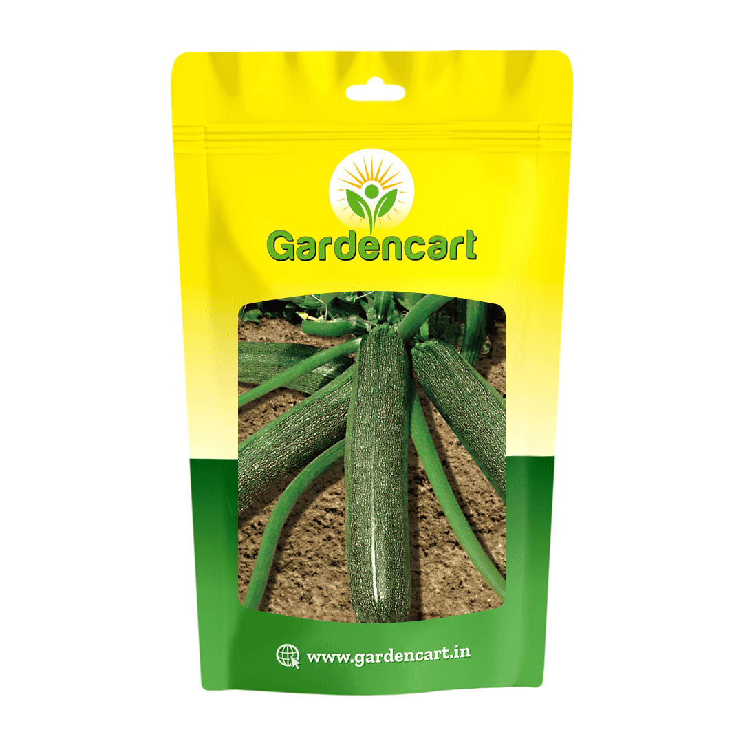 Zucchini Green Sigma Seeds