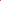 Amaranthus Red microgreens