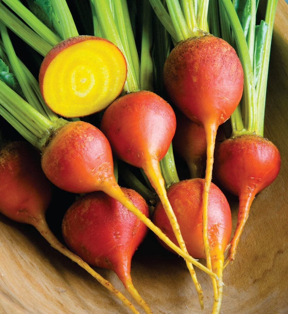 Beetroot Golden seeds