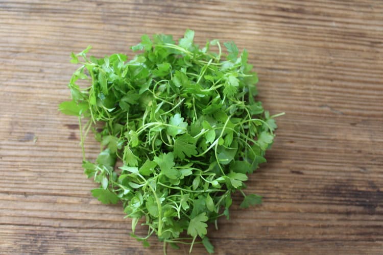 Celery microgreens