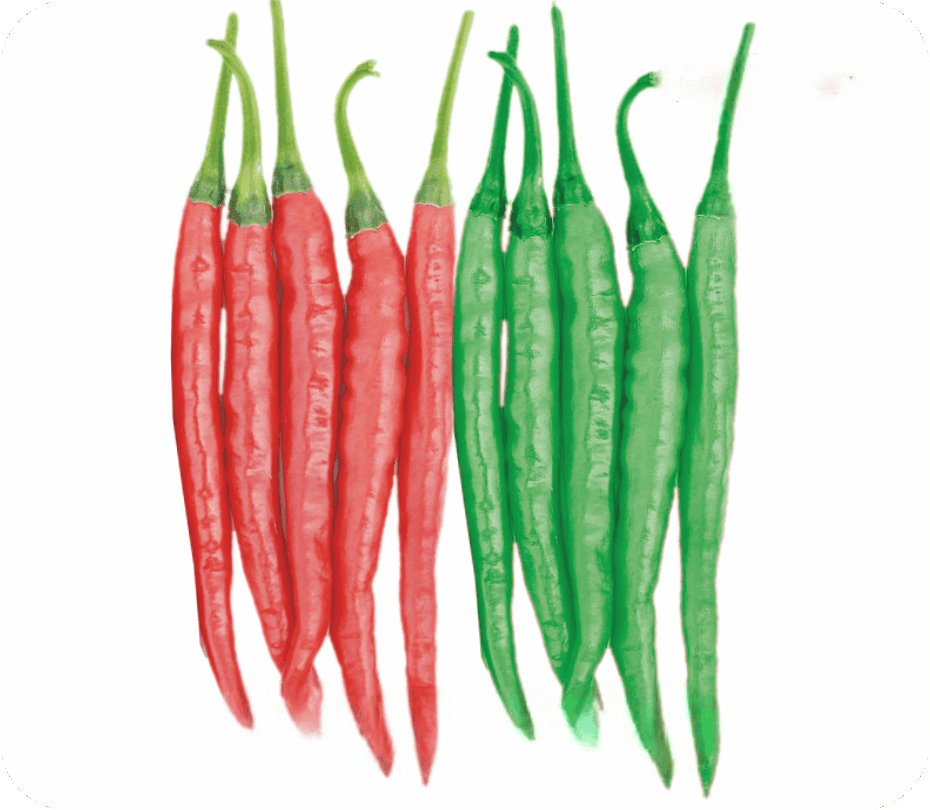 Hybrid Chilly Fire-77 Seeds