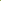 Chinese Cabbage Microgreen