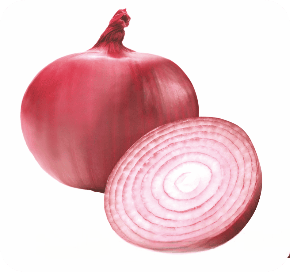 Onion Nasik Red N-53 Seeds