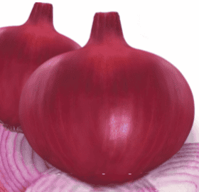 Hybrid Onion Platinum Seeds