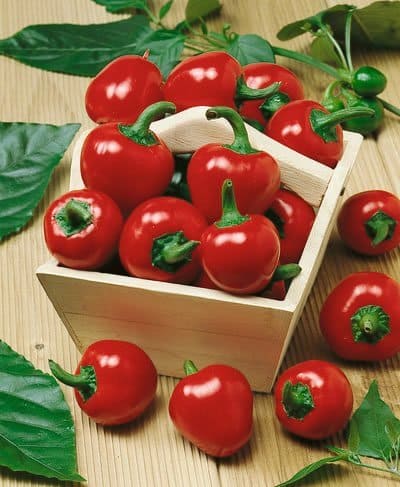Pepper Red Cherry Seeds