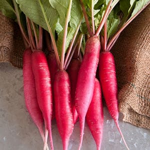 Radish Red Long Seeds