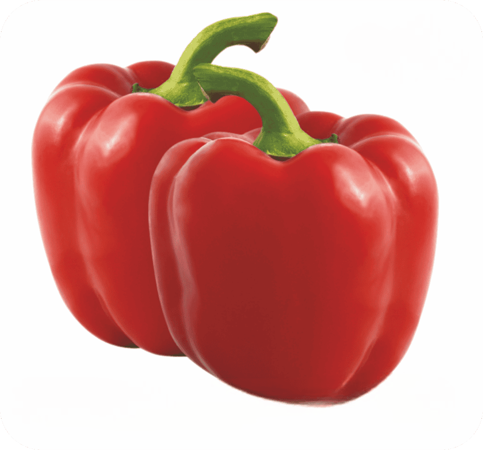 Sweet Pepper Red Ruby Seeds