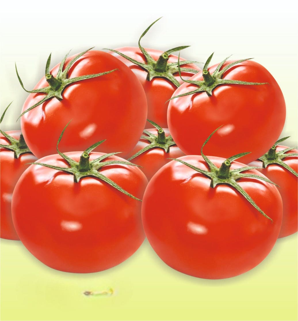 Tomato Desi Pusa Ruby Seeds