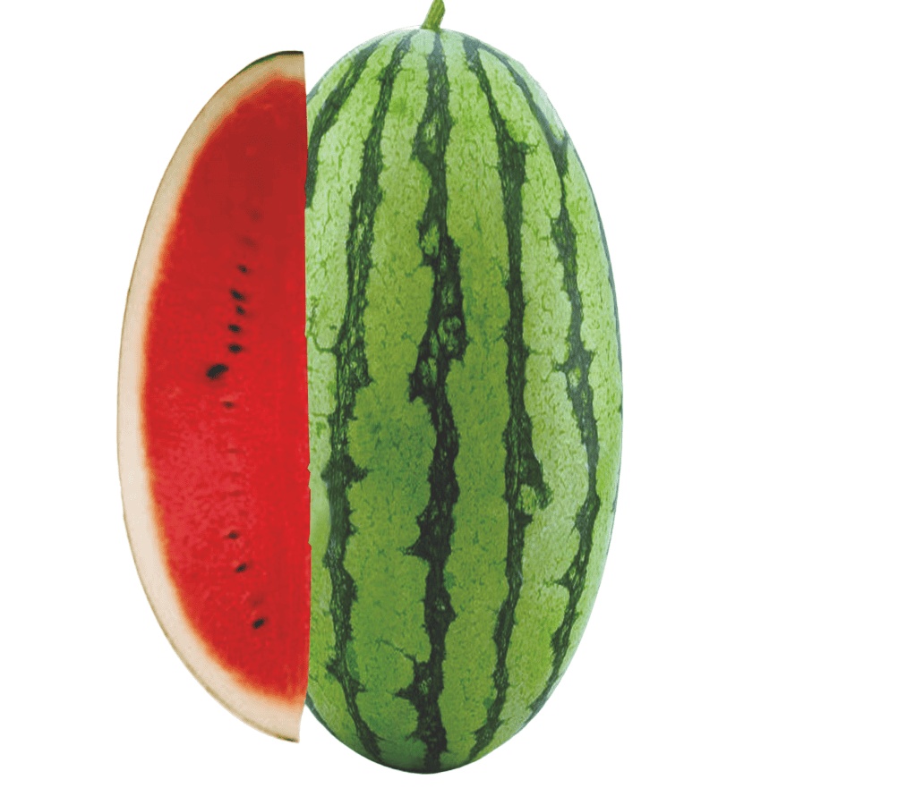 Hybrid Watermelon Dragon Type Sultan-88 Seeds