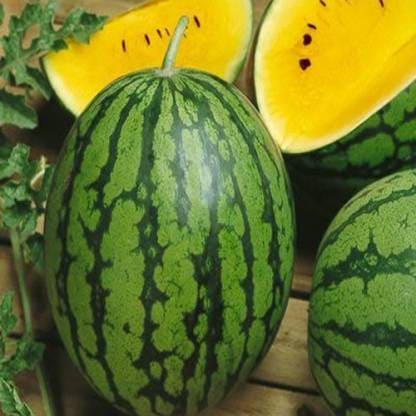 Hybrid Watermelon Yellow King Seeds