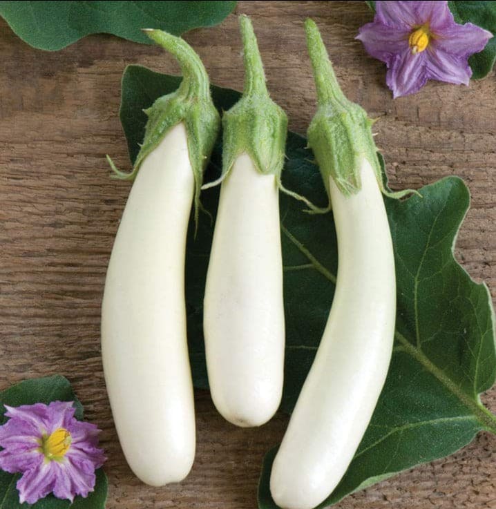 Brinjal White Long Seeds
