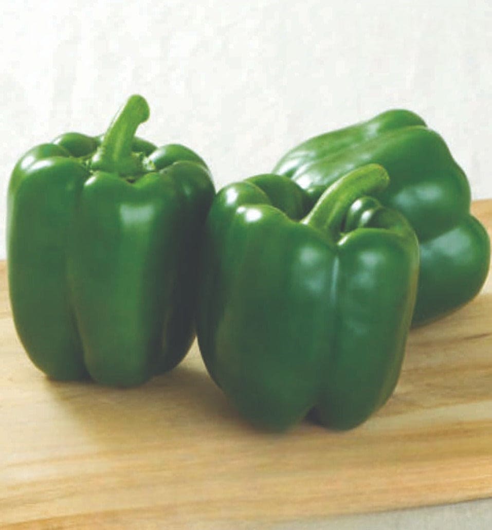 Hybrid Capsicum Emerald Green Seeds